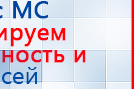 Дэнас - Вертебра Новинка (5 программ) купить в Арамиле, Аппараты Дэнас купить в Арамиле, Дэнас официальный сайт denasolm.ru